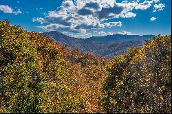 FRENCH BROAD CROSSING-MARSHALL