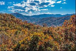 FRENCH BROAD CROSSING-MARSHALL