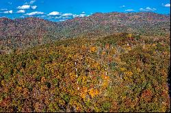 FRENCH BROAD CROSSING-MARSHALL