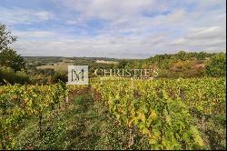 Spectactular Chateau with 79 acres of meadows, & hobby vineyard close to Bazas