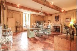 Spectactular Chateau with 79 acres of meadows, & hobby vineyard close to Bazas