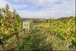 Spectactular Chateau with 79 acres of meadows, & hobby vineyard close to Bazas