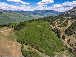 E32 Prospect Drive, Mt. Crested Butte, CO 81225