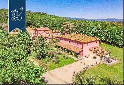 Tuscan farmstead with vineyards and olive groves in a wonderful panoramic position on Arez