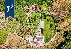 Tuscan farmstead with vineyards and olive groves in a wonderful panoramic position on Arez