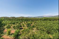 Country House, Buger, Mallorca, 07311