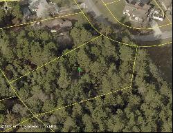 2291 Fayson Lane, Spring Hill FL 34609