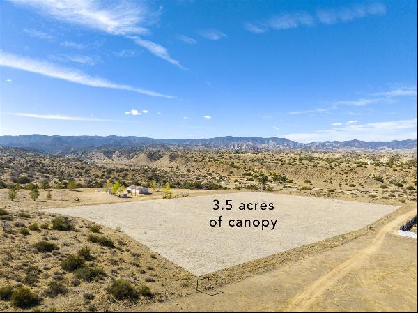 262 Castro Canyon Road, Cuyama CA 93252