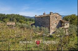 SUSTAINABLE FARMHOUSE FOR SALE IN ANGHIARI, TUSCANY