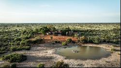 Botswana Conservancy