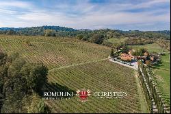 ESTATE WITH VINEYARD AND HUNTING RESERVE FOR SALE IN FLORENCE, TUSCANY