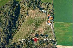 ESTATE WITH VINEYARD AND HUNTING RESERVE FOR SALE IN FLORENCE, TUSCANY