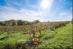 ESTATE WITH VINEYARD AND HUNTING RESERVE FOR SALE IN FLORENCE, TUSCANY