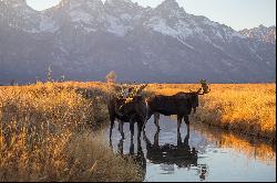 Two Cabins in Kelly with Teton Views