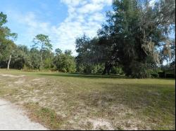 0 Cedarfield Drive, Dade City FL 33523