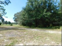 0 Cedarfield Drive, Dade City FL 33523