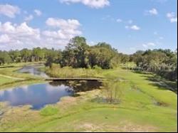 0 Cedarfield Drive, Dade City FL 33523