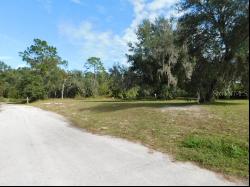 0 Cedarfield Drive, Dade City FL 33523