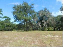 0 Whispering Oaks Blvd., Ridge Manor FL 33523