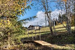 Chalet De Lady - Ski in / Ski out, Rochebrune district