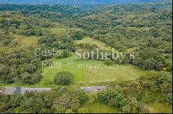 Finca para Desarrollo en Orotina