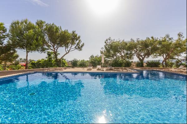 Apartment, Portals Nous, Calvià, Mallorca, 07181