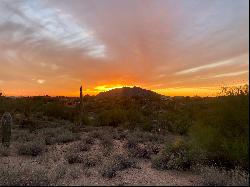 Gambel Quail Preserve 215