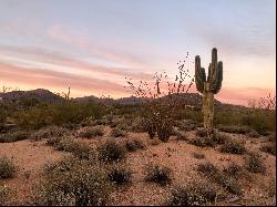 Gambel Quail Preserve 215