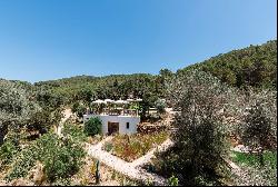 Expansive curated ibicencan Finca with lush gardens in San Lorenzo-Ibiza