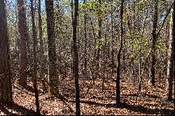 Pristine Acres Within Chattahoochee Hills City Limits