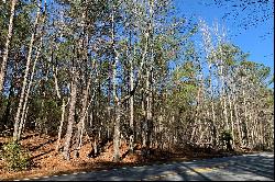 Pristine Acres Within Chattahoochee Hills City Limits