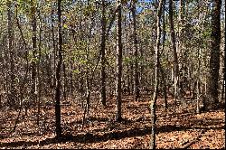 Pristine Acres Within Chattahoochee Hills City Limits