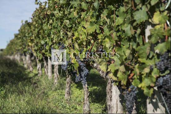 Emblematic AOC Saint-Emilion Grand Cru vineyard estate