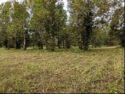 0000000 Pecan Grove Rd, Woodville MS 39669