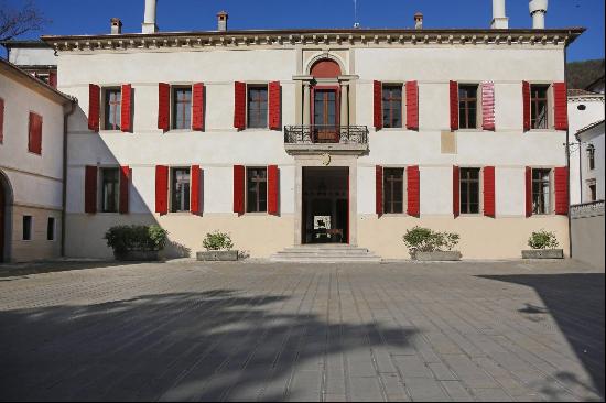 Villa Venetian - historical villa only an hour from Venice