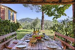 Villa Geranio - delightful country villa set in the hills of Lucca