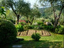 Villa Pulicara - A luxurious farmhouse in the Tuscan countryside