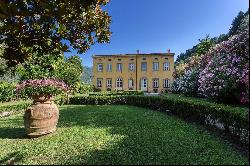 Villa Anacio -  historical villa surrounded by olive groves