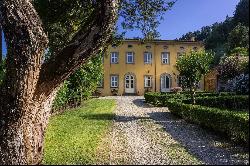 Villa Anacio -  historical villa surrounded by olive groves