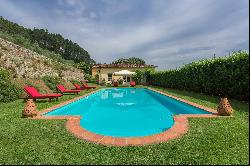 Villa Anacio -  historical villa surrounded by olive groves