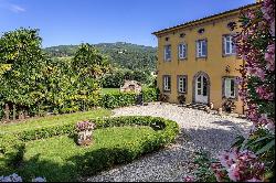 Villa Anacio -  historical villa surrounded by olive groves