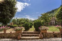 Villa Anacio -  historical villa surrounded by olive groves