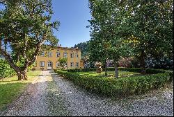 Villa Anacio -  historical villa surrounded by olive groves