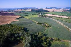 Villa Matilde - splendid villa in the Senese hillside