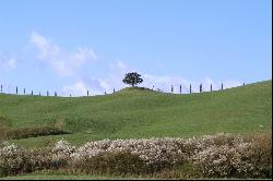 Villa Matilde - splendid villa in the Senese hillside