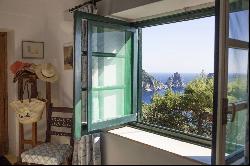 Villa Lilli - Luxurious villa sitting atop the Island of Capri