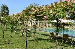 Villa Roses - Beautiful estate nestled in the Hills of Lucca