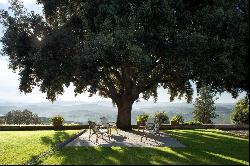 Villa Perle, a classic Tuscan villa surrounded by vineyards and olive groves