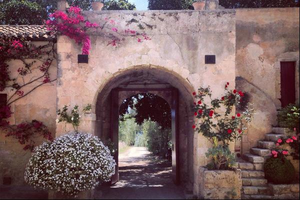 Enchanting Dimora di Leone immersed in vineyards and olive trees