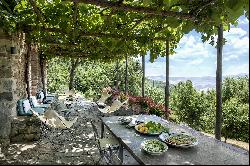 Podere Bacche - charming rural villa in the idyllic Val d'Orcia